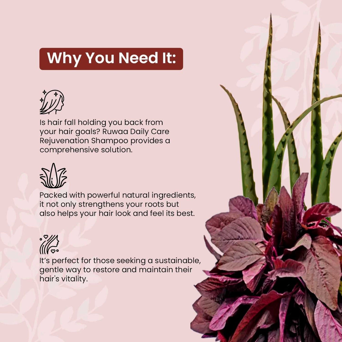 Summer Offer - Buy 2 @ Rs.449