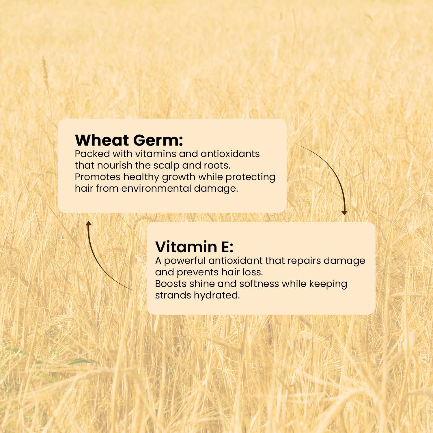 Hair Serum - Wheat Germ and Vitamin E For Soft And Shiny Hair 30ML Softens Hair | Reduces Frizz and Tangles | Boosts Growth