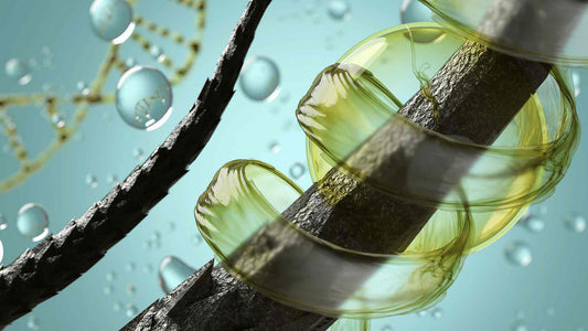 The Ancient Secret to Luscious Locks: The Science of Hair Oil