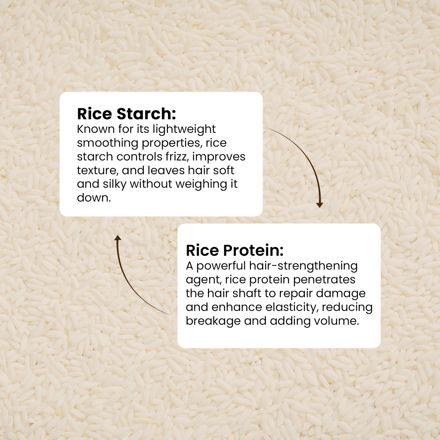 Summer Offer - Buy 2 @ Rs.449