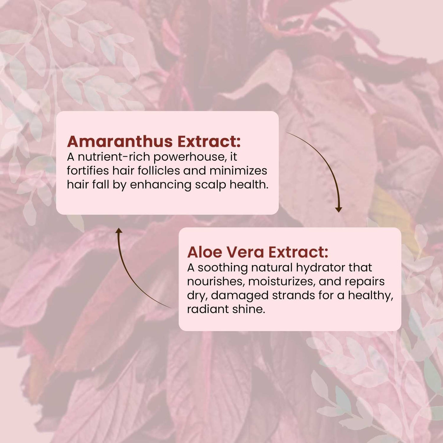 Summer Offer - Buy 2 @ Rs.449